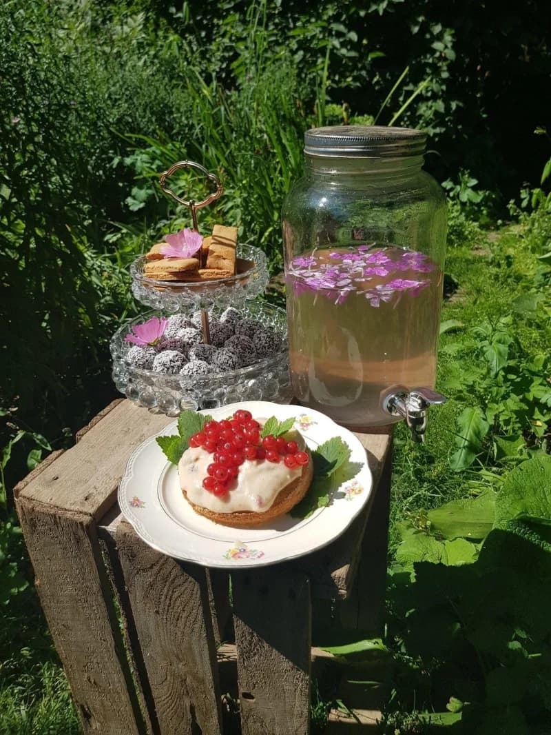 Kakor, chokladbollar, bakverk med frosting och vinbär samt hemgjord saft serverat i trädgården.